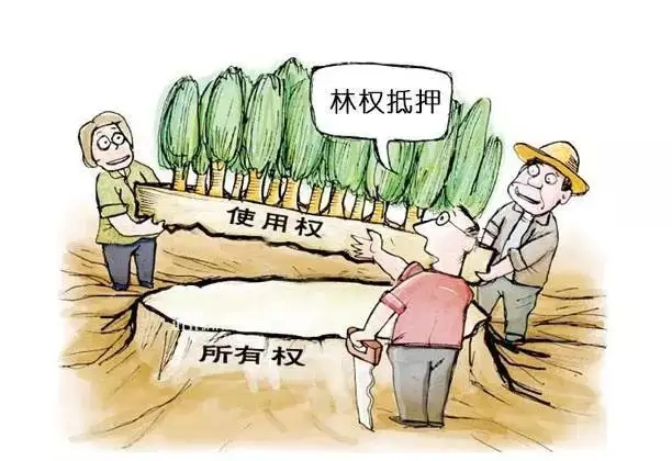 威尼斯澳门人游戏网站(中国游)有限公司官网